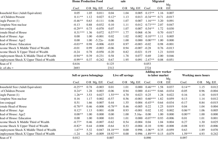 Table 8: Active Strategies and Household Structure/Characteristics
