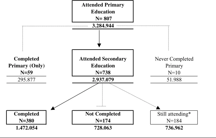 Figure 4. Students´ Path for Individuals between 15 - 30 years of age in Greater Buenos Aires