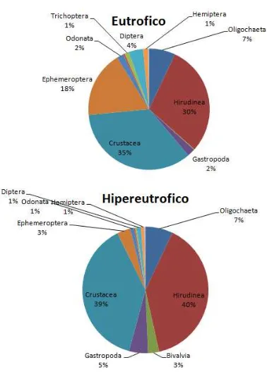 Figura 5. Composición relativa de grandes grupos de macroinvertebrados para arroyos estudiados agrupados por estado tróico en hipereutróico y eutróico.