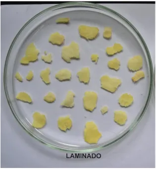 Figura 2.1: Laminado de soja. 