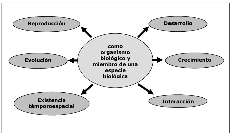 Cuadro 2.2.1.b