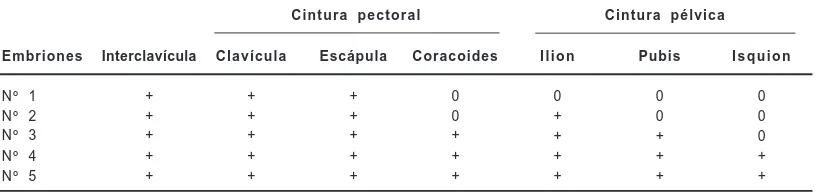 Tabla 4. Comparación entre la secuencia de osificación de la cintura pectoral y pélvica de Tupi-nambis merianae