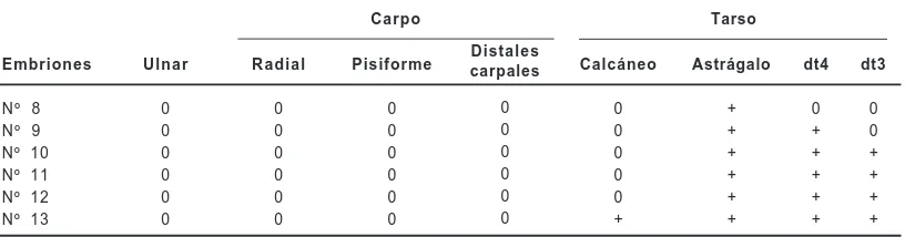 Tabla 5. Comparación entre la secuencia de osificación de los elementos del basipodio de lasextremidades anteriores y posteriores de Tupinambis merianae