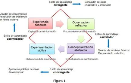 Figura 1  