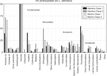 Figura 3. Índice de Importancia Relativa jerarquizado para las cuatro categorías de tamaño ysexo en L