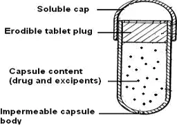 Figure 1. Assembly of pulsed release capsule device.