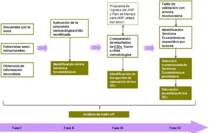 Figura 3. Flujograma del proceso metodológico 