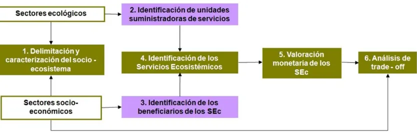 Figura 4. Esquema metodológico para la identificación y evaluación de los Servicios 