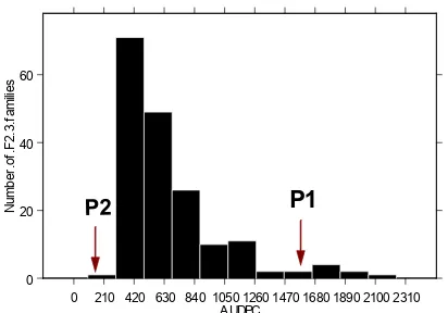 Figura 1. Distribución de los porcentajes de infección de las espigas afectadas de podredumbre de la espiga en 190 familias F2:3 
