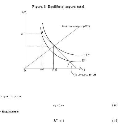 Figura 8: Equilibrio: seguro total.