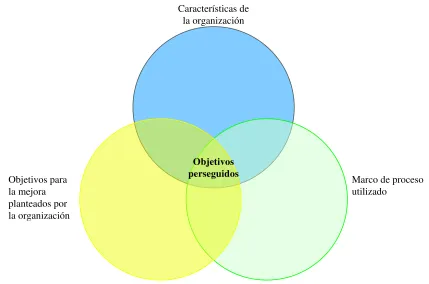 Figura 1.2 Objetivos perseguidos como intersección de variables 