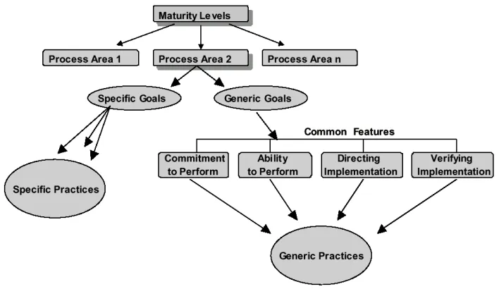 Figura 2.6 Componentes del modelo CMMI-SW 