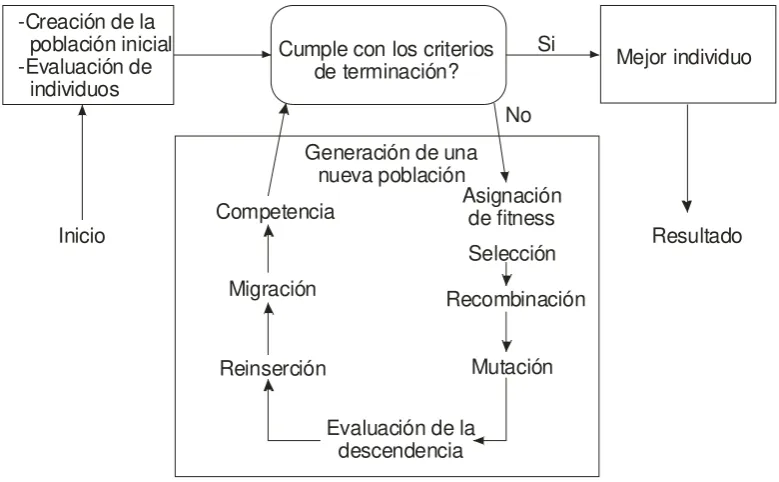 Figura 4.4 - Estructura de un AE con múltiples poblaciones 