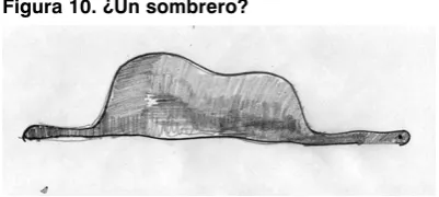 Figura 10. ¿Un sombrero?