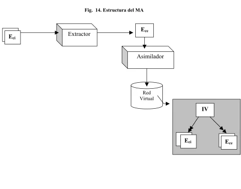 Fig.  14. Estructura del MA 