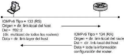 Figura 1.13 - Router Discovery 