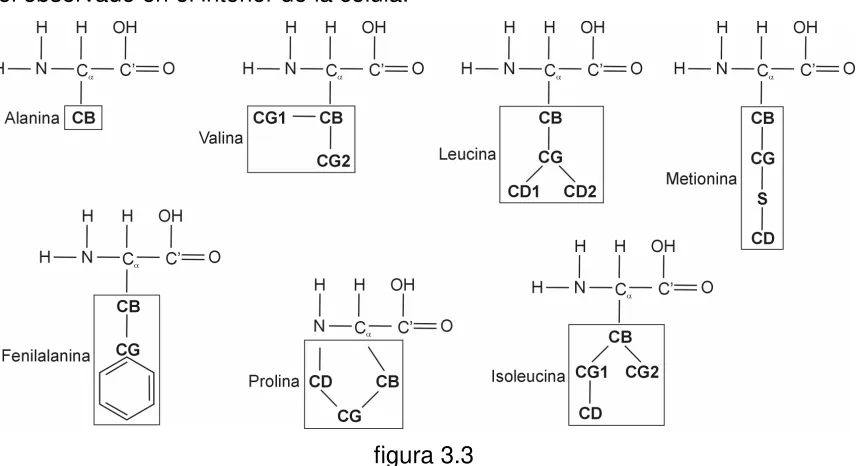 figura 3.3 