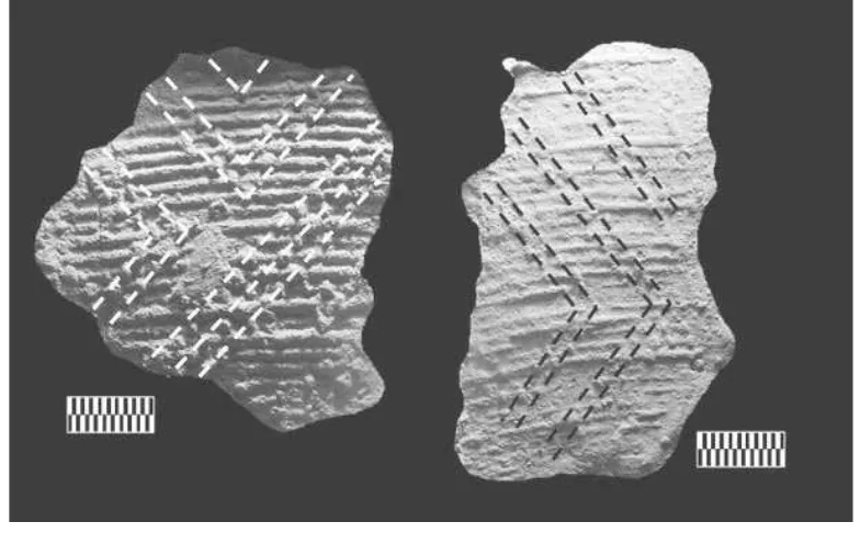 Figura 5. Puntadas de alineación diagonal y espaciado variable que forman diseños de líneas en zigzag o rombos, que conforman la variedad estructural 5c