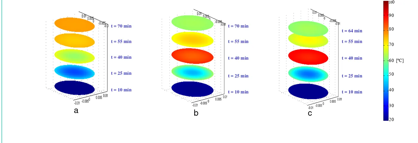 Figura 5.2.4. Simulación de la distribución de la temperatura sobre el plano (y,z) del tomate durante el proceso de pasteurización a distintos tiempos de procesamiento