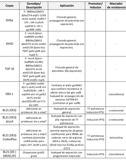 Tabla 3. Cepas de Escherichia coli empleadas 