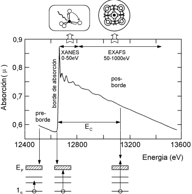 Figura 9: Representación esquemática de un espectro de absorción de rayos X (borde K del Se) y las transiciones  electrónicas que corresponden esas características básicas del espectro (modificado de Mazali 1998)