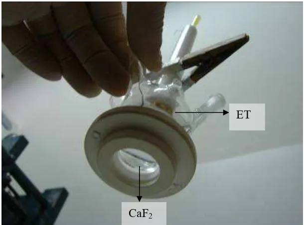 Figura 2.17 : Foto de la Celda electroquímica utilizada para realizar los experimentos de FTIR-in situ, donde pueden observarse los ER y CE