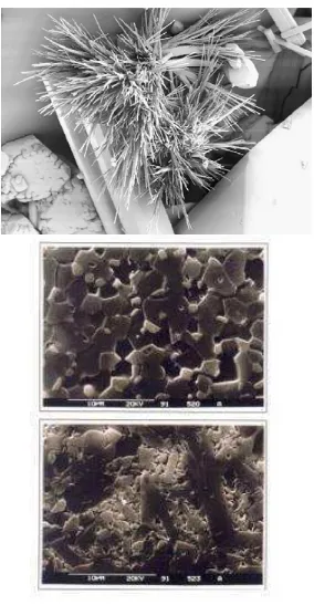 Figura 2.2: Micrografia (MEB) de Mullita natural encontrada en piedras volcánicas y de un  refractario a base de Mullita
