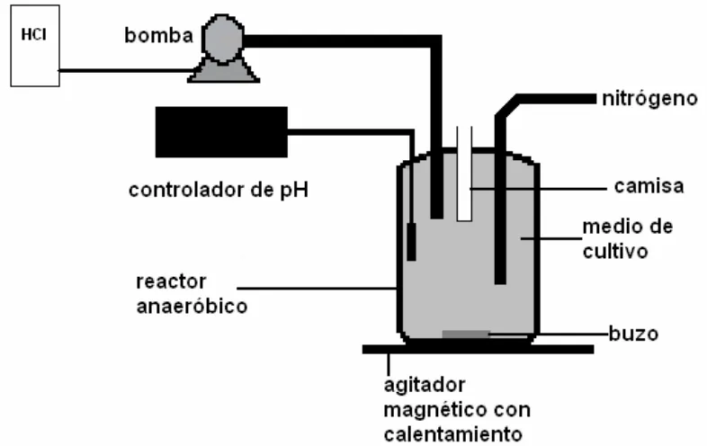 Figura 2.1: Diagrama esquemático del dispositivo utilizado para el cultivo en Batch 