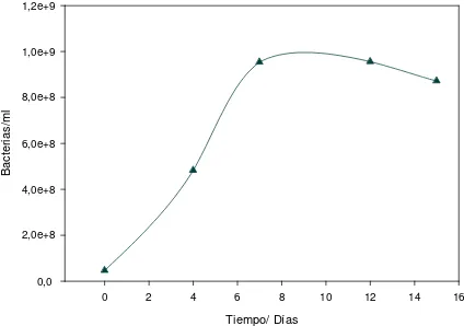 Figura 3.2: Población bacteriana en suspensión en función del tiempo para el cultivo batch con 