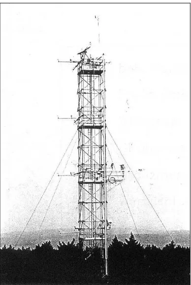 Figura 3.1.2: Vista del bosque y el anemómetro ultrasónico METEK-USAT, desde la torre