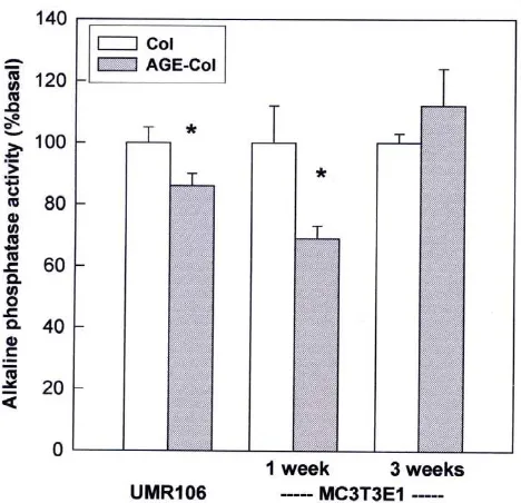 Figure 5Effect of an AGE-modified type I collagen matrix on the ALPone-week culture of MC3T3E1 cells; and 3.05 activity of UMR106 and MC3T3E1 cells