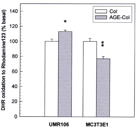 Figure 6Effect of an AGE-modified type I collagen substratum on thegeneration of intracellular reactive oxygen species byMC3T3E1 and UMR106 cells
