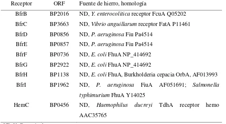 Tabla 1. Receptores de B. pertussis dependientes de TonB involucrados en la captura de hierro 