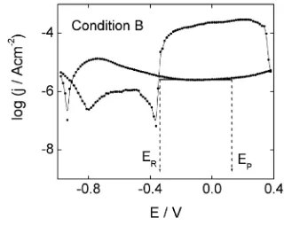 Figura 4.6. Curva de polarización potenciodinámica cíclica en medio desaireado conteniendo 0,05 M K2SO4 + 0,04 M NaCl (pH = 4,1), velocidad de barrido 0,5 mV/s, para una muestra bajo la condición B. En la Figura se indican los potenciales de picado y de repasivación. 