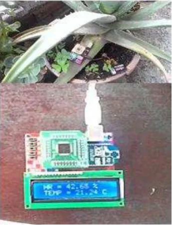 Fig. 6. Plants 1y 2 of the test displayed in the LCD. 