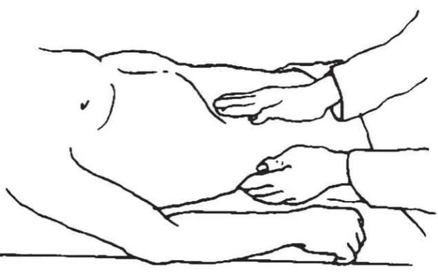 Figura 1