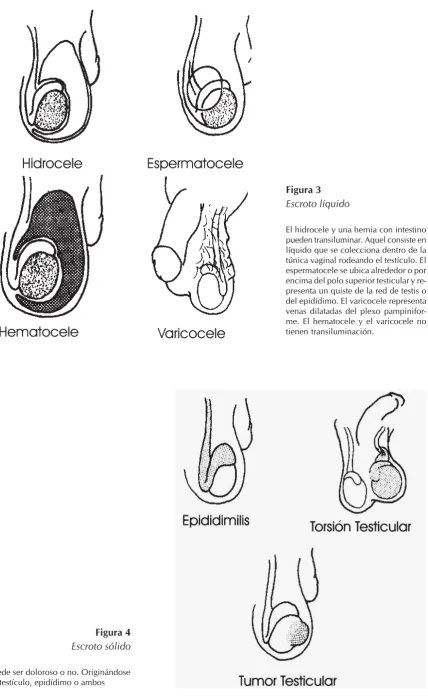 Figura 4