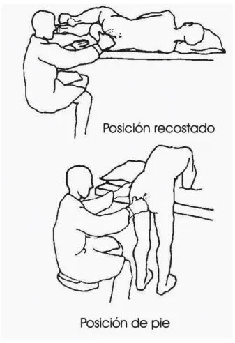 Figura 5