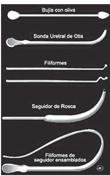 Figura 7