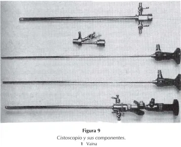 Figura 9