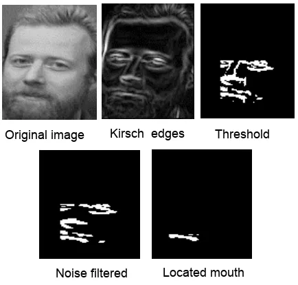 Figure 1. Identify eyes on a face 