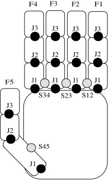 Fig. 3. Localization of sensors in the data glove.