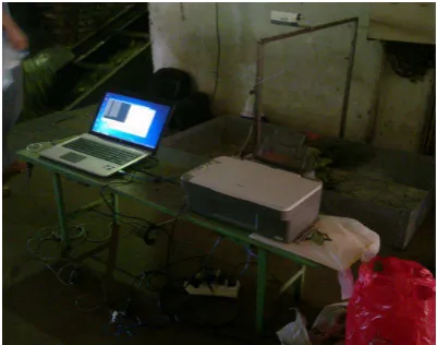 Fig. 2. Digital image acquisition of Yerba Mate leaves using a scanner.  