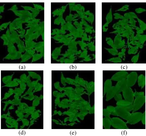 Fig. 5. Image segmentation for leaves with moisture level of: a) 22,21%, b) 23,65%, c) 24,57%, d) 27,77%, e) 30,95%, y f) 61,7%