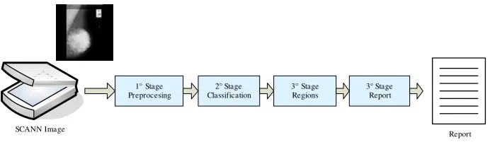Fig. 1. Processing Steps 