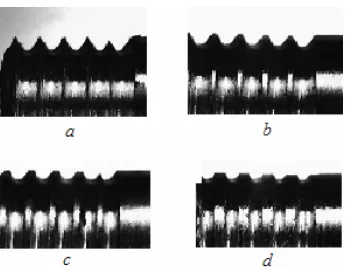 Fig. 6. An example of the input image of the LIRA neural classifier 