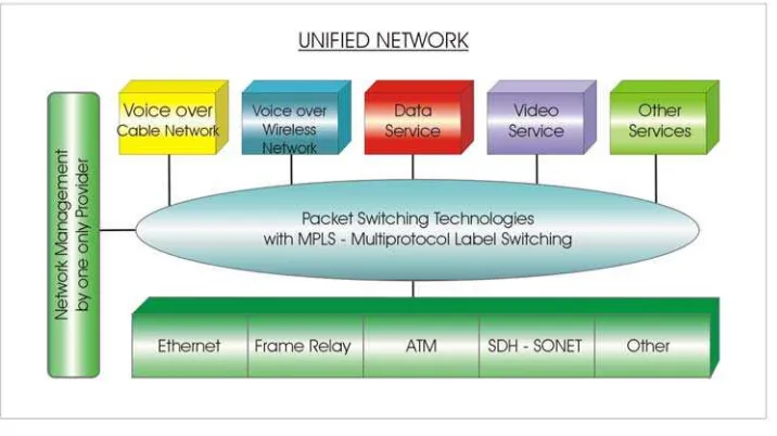Figure 1: MPLS services and infrastructure 