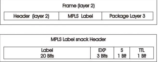 Table 1: MPLS Frame 