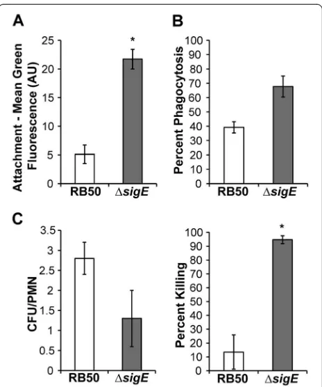 Figure 5 RB50ΔsigE is less cytotoxic to macrophages thanRB50. RAW 264.7 cells were incubated at an MOI of 10 withmedium containing RB50 pEV, RB50△sigE pEV, RB50△sigE pSigE,TTSS-deficient RB50 strain WD3, or medium alone for 4 hours in thepresence of 1 mM I