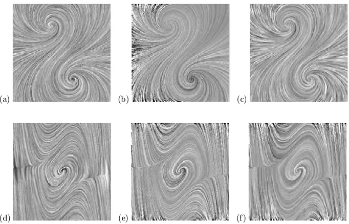 Figura 8: Vemos dos sistemas gra¯cados a partir de la tradicional textura de ruido blanco y negro, con el ¯n de comparar los resultados